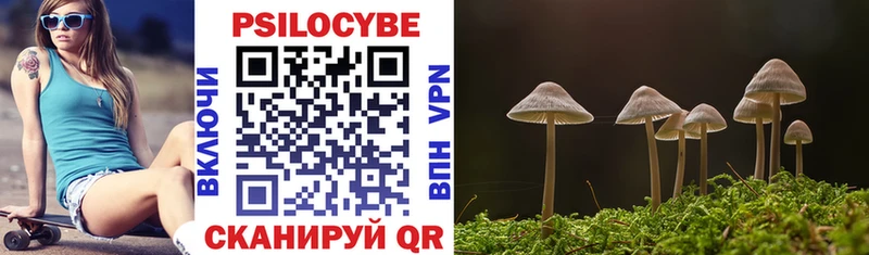 Галлюциногенные грибы GOLDEN TEACHER  Купить закладки  Павлово 
